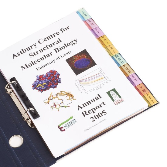 Divider Set Insertable Multicolored 1-10 Divider Set Insertable Multicolored 1-10