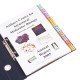Divider Set Insertable Multicolored 1-10 Divider Set Insertable Multicolored 1-10